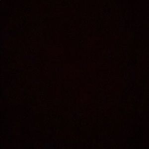 Meet your Posher, Carmen